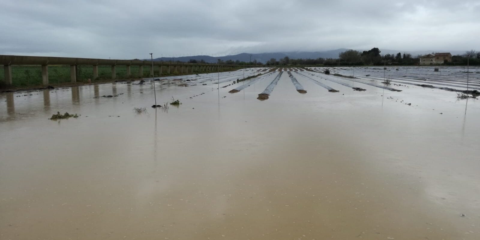 Agroseguro recuerda que los daños por las inundaciones provocadas por